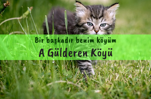 A Gülderen Köyü